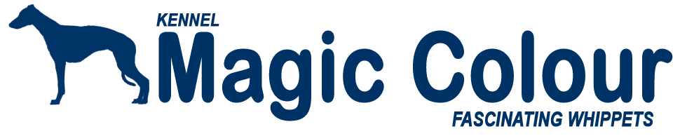 Magic Colour Webshop
