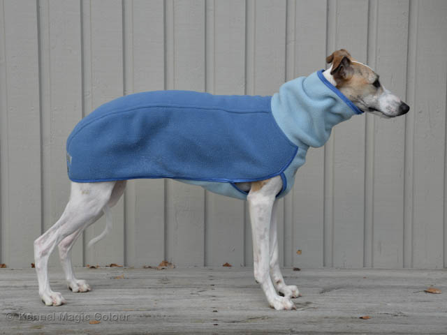 Whippettröja