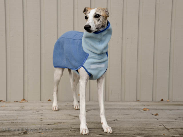 Whippettröja