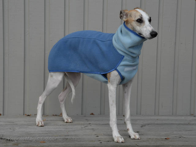Whippettröja